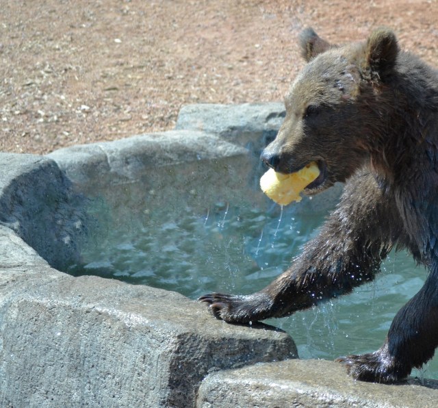 aDSC_7260 2016 4 17 munsey