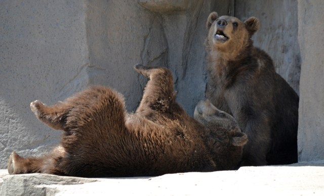 aaDSC_0789 2016 5 6 munsey boda