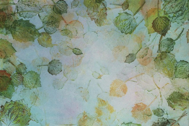 Autosave-File vom d-lab2/3 der AgfaPhoto GmbH