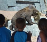 aDSC_8439 2016 6&nbsp;20