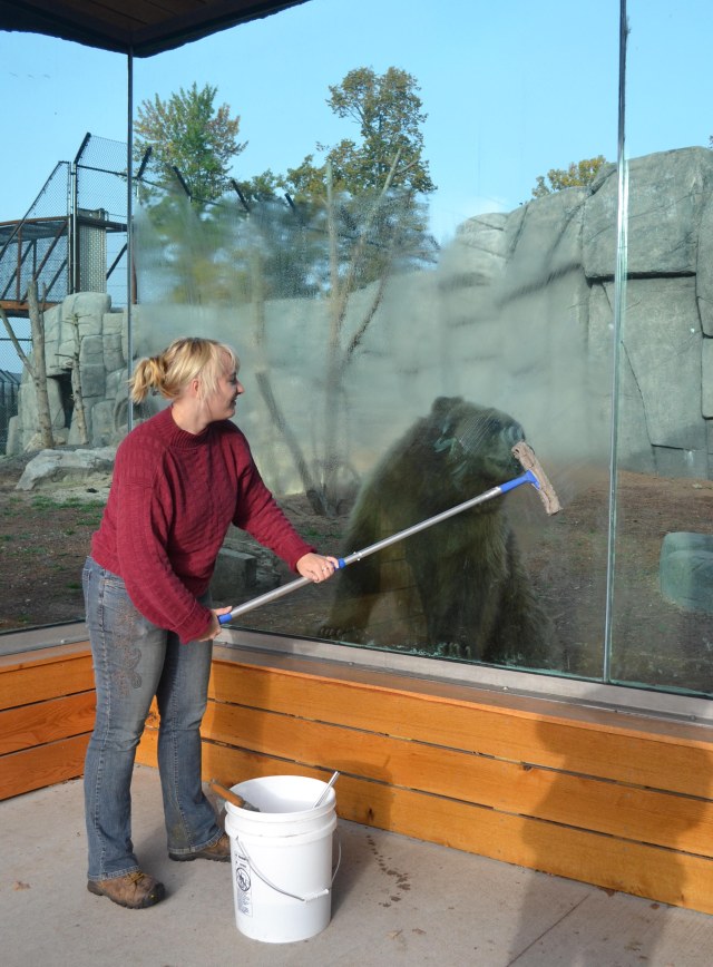 bear-cubs-2016-october_4970