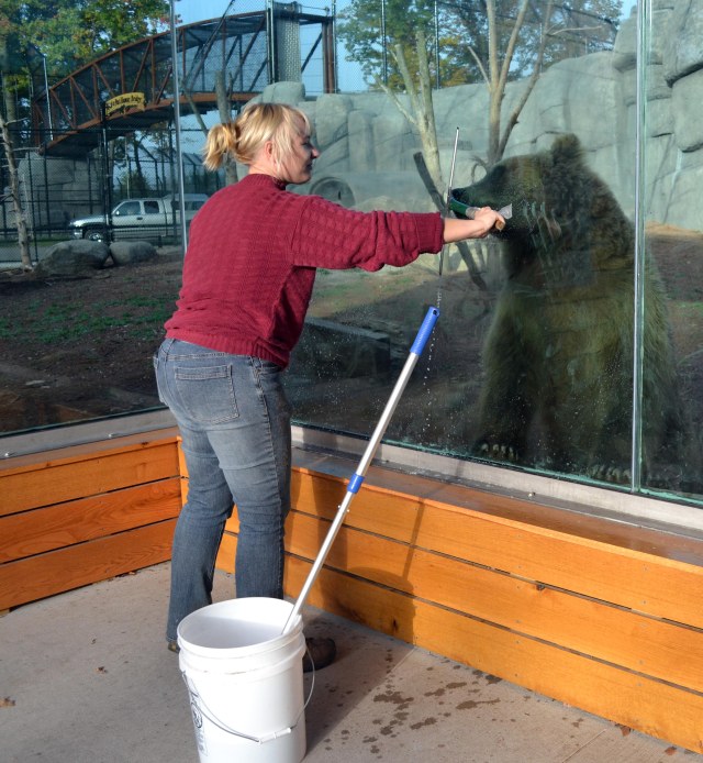 bear-cubs-2016-october_4974