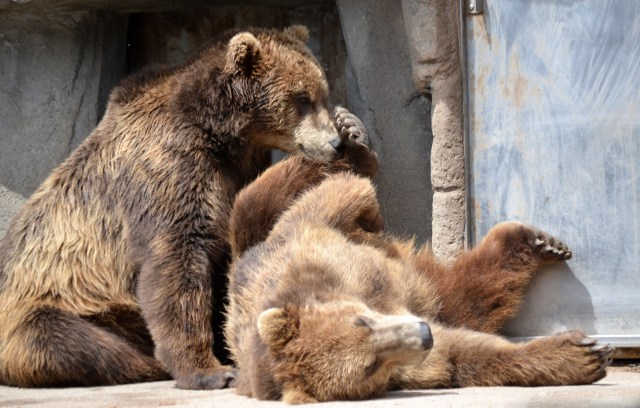 DSC_1963 12.18 to 12.21