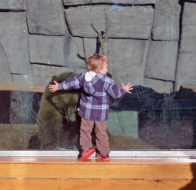 bear cubs 2016 October_5049 copy