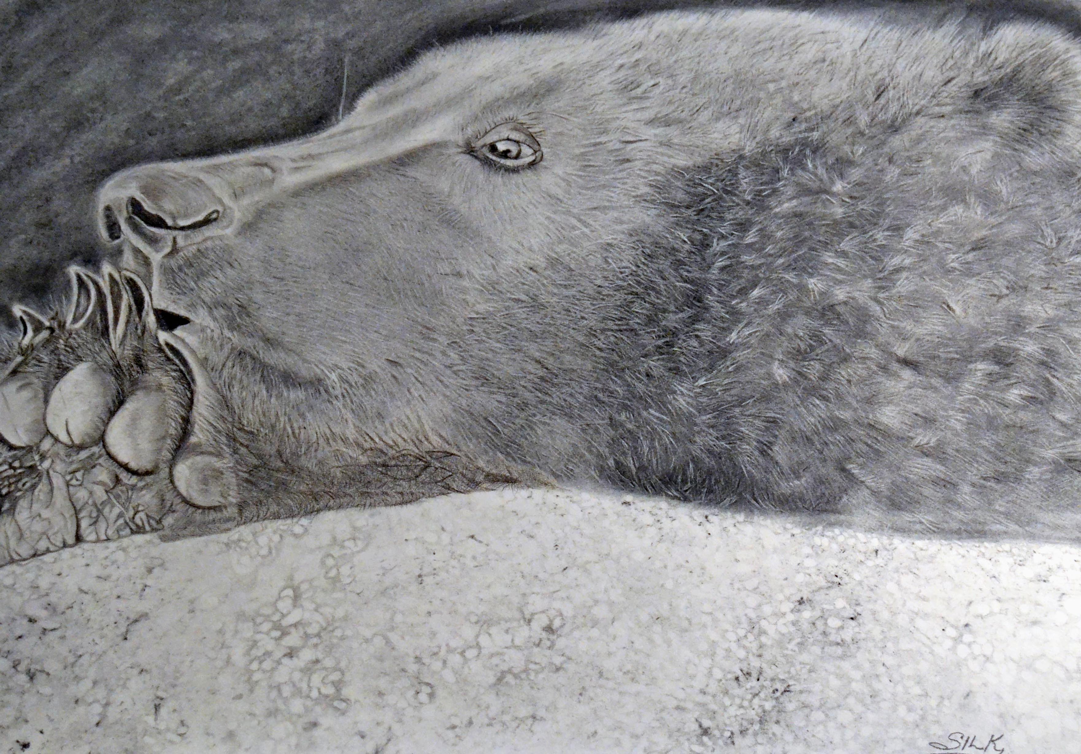 DSC_9536 4 25 2016 artwork drawing Munsey