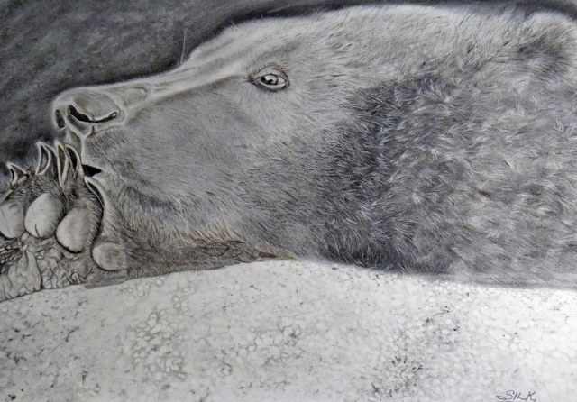 DSC_9536 4 25 2016 artwork drawing Munsey