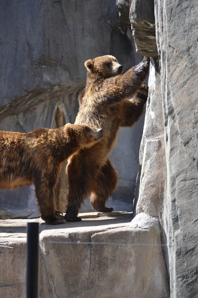 aDSC_4789 munsey boda